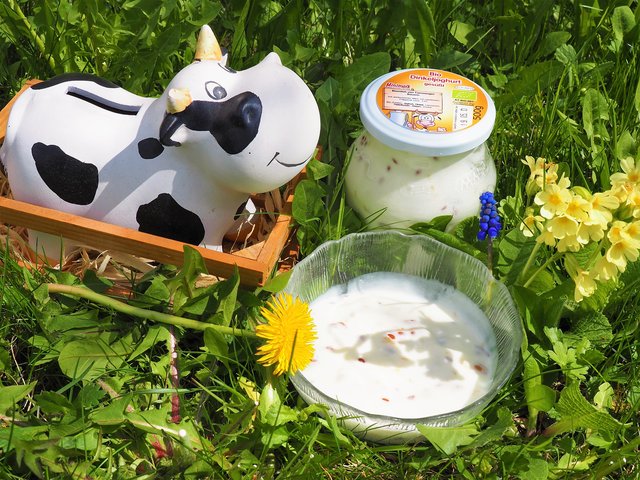 Ein Dinkeljoghurt vom Feinsten, regional und vital.