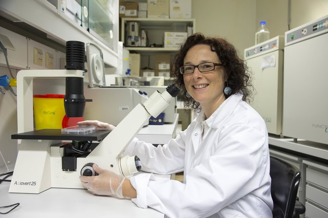 Die Salzburger Immunologin Iris Gratz hat bisher unbekannte Infektions-bekämpfende Helfer-Immunzellen im menschlichen Blut identifiziert und damit eine entscheidende Entdeckung gemacht. | Foto: Kolarik