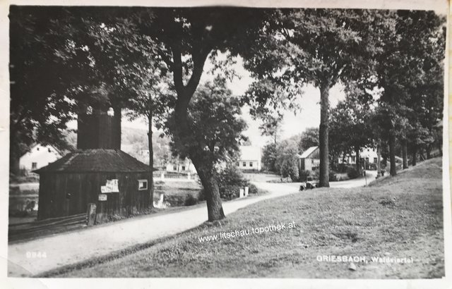 Foto: Foto: litschau.topothek.at / Roman Poindl