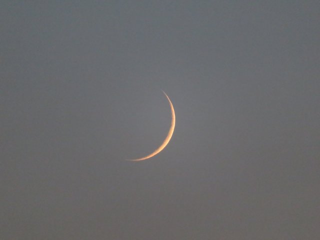 04.07.2019 die schmale Mondsichel nach Neumond am 01.07.2019