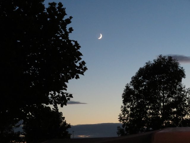 05.07.2019 Blick auf den zunehmenden Mond