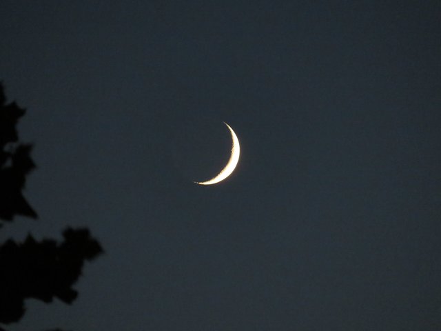05.07.2019 schon einen Tag später ist der Mond breiter