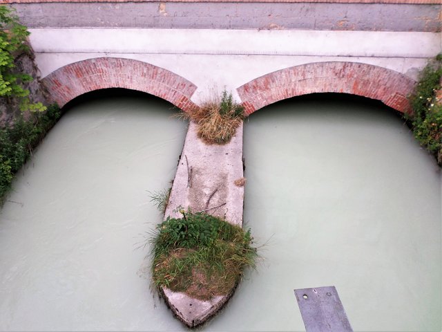 Foto: Wilfried Scherzer-Schwarzataler