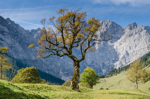 So ruhig ist es im Naturpark Karwendel nur abseits der Straßen | Foto: Pixabay / Free-Photos