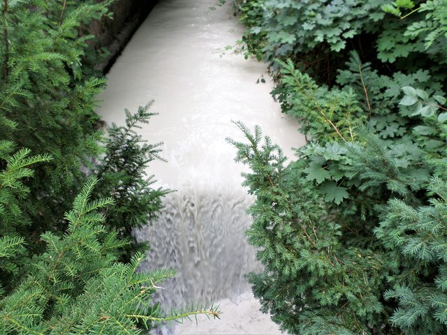 Foto: Wilfried Scherzer-Schwarzataler