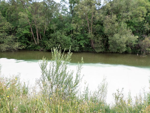 Foto: Wilfried Scherzer-Schwarzataler