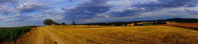 Seefeld-Großkadolz: Kellergassen Seefeld-Großkadolz ist eine Reise wert