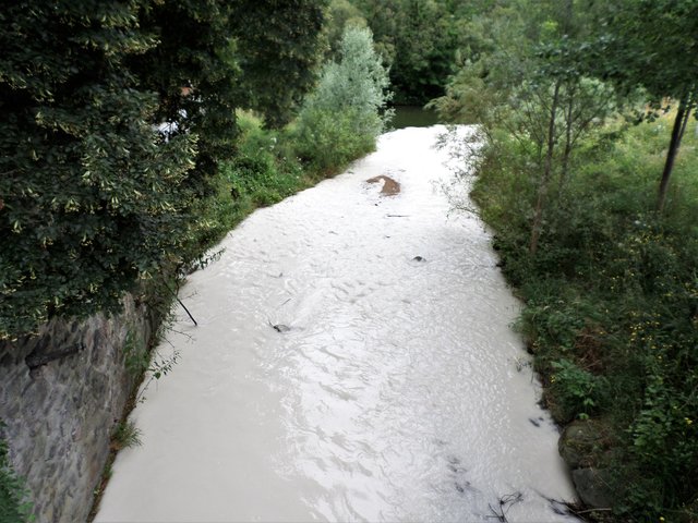 Der milchigweiße Auebach bei der Einmündung in die Schwarza | Foto: Wilfried Scherzer-Schwarzataler