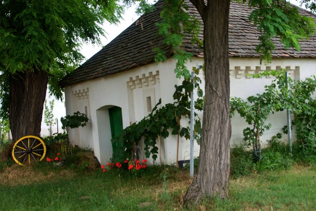 Seefeld-Großkadolz: Kellergassen Seefeld-Großkadolz ist eine Reise wert