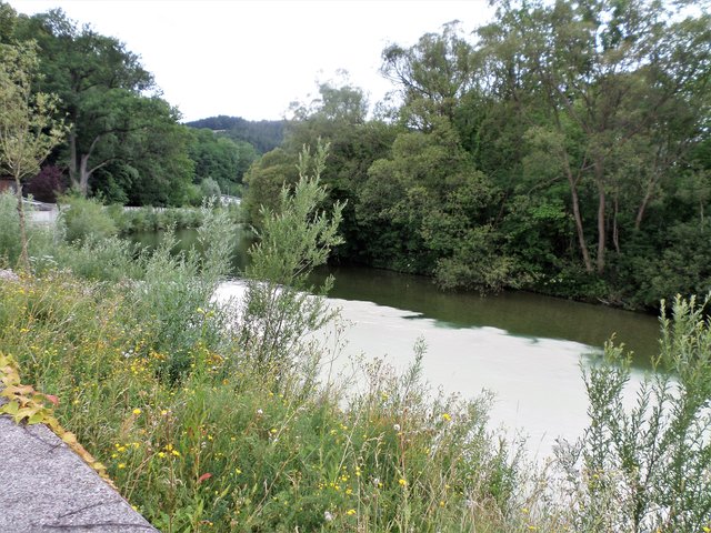 Foto: Wilfried Scherzer-Schwarzataler