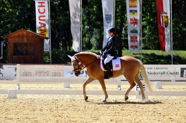 Michaela Kuntner mit ihrem Haflinger Stockholm beim internationalen Paraturnier in Stadl Paura. | Foto: Sonja Bauer