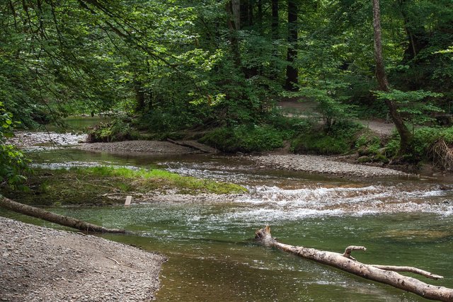 Ein Klick in das Foto öffnet die Galerie im Vollbildmodus.
Bild 31: Flusslandschaft der Oberen Argen. | Foto: © by Ing. Günter Kramarcsik