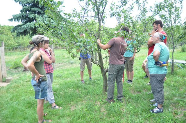 Am  27. Juli können Interessierte wieder in Klosterneuburg den fachgerechten Obstbaumschnitt erlernen. | Foto: BPWW/I. Lemberger