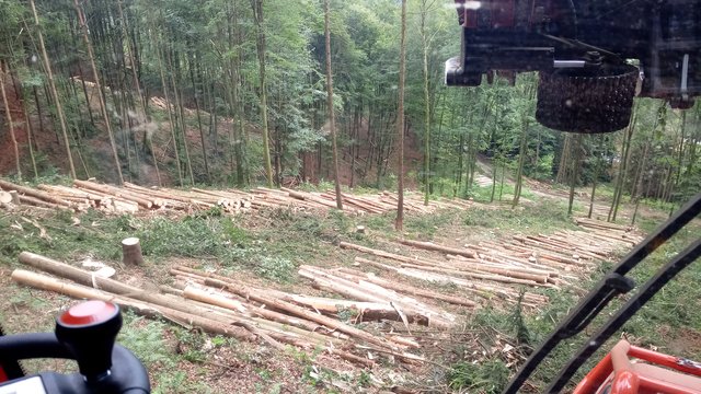 Waldbesitzer arbeiten Schäden nach Borkenkäfer und Schneedruck auf. Sägewerke sind teils schon überlastet. | Foto: Forstservice Kopfing