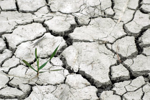 Österreich soll laut Bundesrat den Klimanotstand ausrufen, um der Klimakrise die höchste Priorität zuzugestehen.