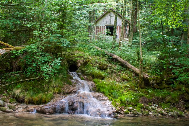 Ein Klick in das Foto öffnet die Galerie im Vollbildmodus.
Bild 26: größere und kleinere Seitenbäche von allen Seiten fließen in die Obere Arge.  | Foto: © by Ing. Günter Kramarcsik