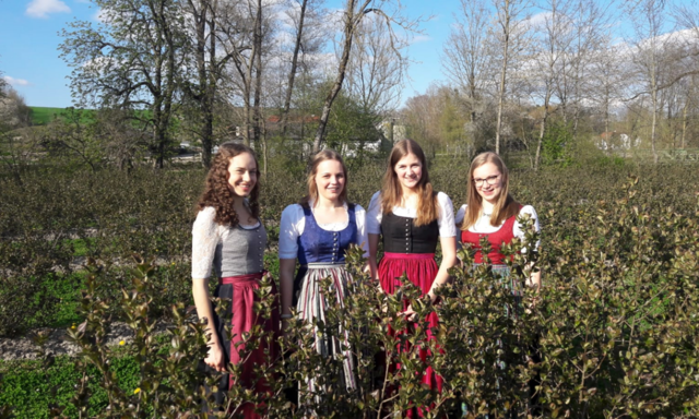 Das Diplomarbeitsteam im Aroniafeld des Partnerbetriebs: Monika Friedl, Elena Roiter, Magdalena Schwarz, Maria Kehrer.