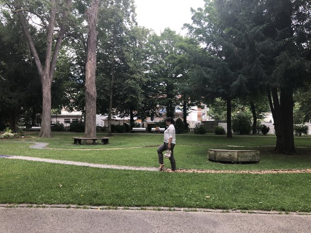 Der Barfussweg lädt zum ausprobieren und spüren des Untergrunds ein. 