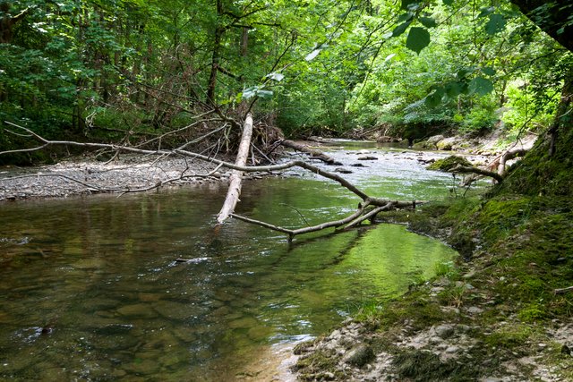Ein Klick in das Foto öffnet die Galerie im Vollbildmodus.
Bild 25: Auch wildromantische flache Flussabschnitte liegen zwischen den Steilstufen der Oberen Arge.  | Foto: © by Ing. Günter Kramarcsik