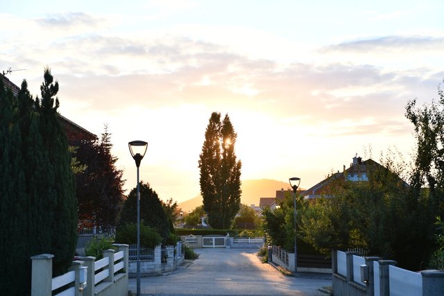 Sonnenuntergang von der Zollhausstrasse im Wolfsthal | Foto: hinter Braunsberg