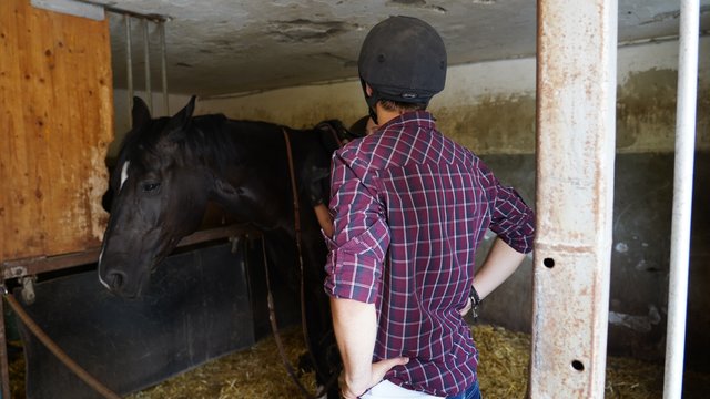 Das erste Kennenlernen zwischen Silla und mir in ihrem Stall. | Foto: BB