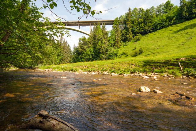 Ein Klick in das Foto öffnet die Galerie im Vollbildmodus.
Bild 01 - Station 1: Im Bereich des Eingangs bei der Argen- Tobelbrücke (54 m über dem Tobelboden).
