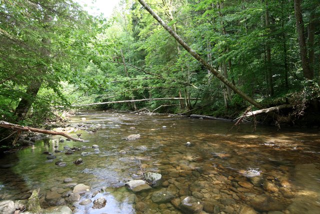 Ein Klick in das Foto öffnet die Galerie im Vollbildmodus.
Bild 04: Zwischen Station 2 und 3 an der faszinierte mich die wilde Flusslandschaft und dabei übersah ich die Wasseramsel während ich das Foto machte. Im Vollbildmodus ist sie zu entdecken. Nächstes Foto ist davon eine Vergrößerung. | Foto: © by Ing. Günter Kramarcsik