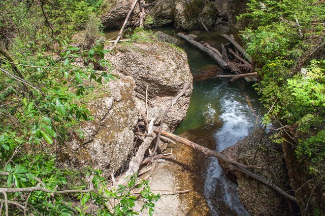 Ein Klick in das Foto öffnet die Galerie im Vollbildmodus.
Bild 49: Der Tobelweg hat hier am Zwinger schon fast alpinen Charakter wenn man hier auch in Tiefe des Zwingers schauen will. Mit der Stahlkonstruktion einer Aussichtsplattform wird dieser Blick jedem Besucher auch ohne Alpinerfahrung ermöglicht.
 | Foto: © by Ing. Günter Kramarcsik