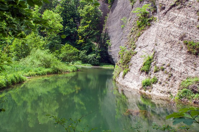 Ein Klick in das Foto öffnet die Galerie im Vollbildmodus.
Bild 64: An der Station 8 machten wir in der Folge kehrt. Hier war eine über 50 Meter hohe Wand aus Nagelfluhgestein über dem kleinen Stausee der aufgestauten Argen zu sehen.  | Foto: © by Ing. Günter Kramarcsik