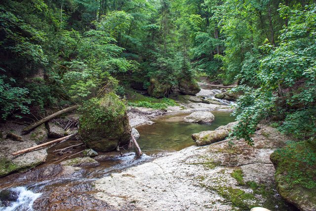 Ein Klick in das Foto öffnet die Galerie im Vollbildmodus.
Bild 47: Die Obere Argen bei Niederwasserstand zwischen Station 4 und Station 5.
 | Foto: © by Ing. Günter Kramarcsik
