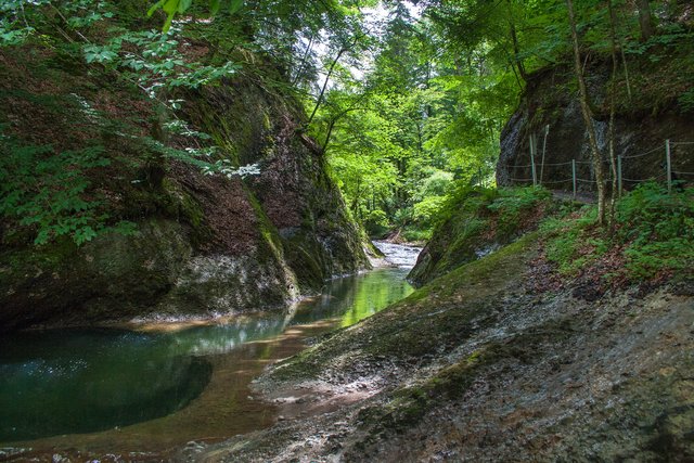 Ein Klick in das Foto öffnet die Galerie im Vollbildmodus.
Bild 56: Auf dem Weg zur Station 7 gibt es auch dazwischen drin immer wieder flachere Strecken, sowohl im Flussbett als auch am Tobelweg (hier rechts oben).
 | Foto: © by Ing. Günter Kramarcsik