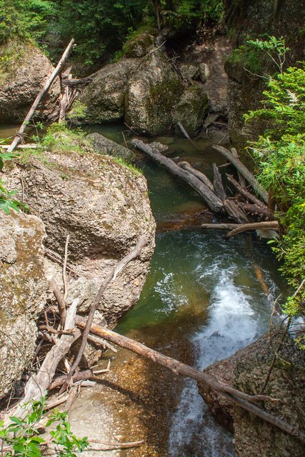 Ein Klick in das Foto öffnet die Galerie im Vollbildmodus.
Bild 50: Ein Blick in die Tiefe des Zwingers von der Aussichtsplattform aus.
 | Foto: © by Ing. Günter Kramarcsik