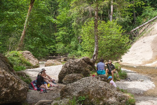 Ein Klick in das Foto öffnet die Galerie im Vollbildmodus.
Bild 53: Am Fuße der Hohen Wand machen die Wanderer im Schatten der Bäume auf trockenen Schotterbänken Rast.
 | Foto: © by Ing. Günter Kramarcsik