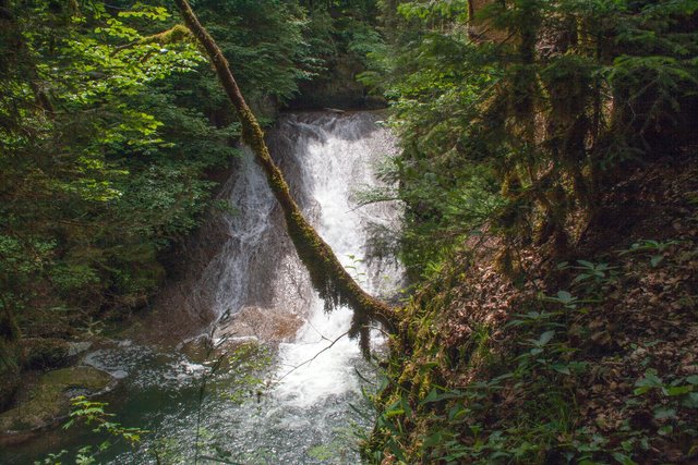 Ein Klick in das Foto öffnet die Galerie im Vollbildmodus.
Bild 44: Ein enger Blick zum großen Wasserfall. Die Vegetation mit alles überziehende Moose und Flechten erinnern stark an einen Regenwald. 
 | Foto: © by Ing. Günter Kramarcsik