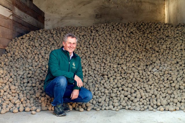 Erdäpfel, die nach Erdäpfeln schmecken, produziert Landwirt Martin Preineder.