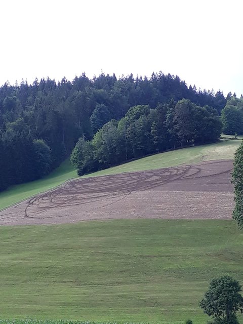 Der Acker, durchzogen von tiefen Spuren.