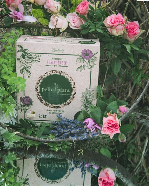 Foto: Fam. Mayr/Brunlitzerhof