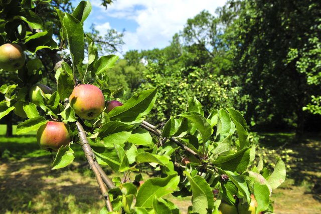 Foto: Naturpark Eichenhain