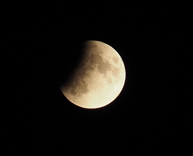 Der Mond wird vom Schatten verschluckt. | Foto: Elisabeth Kronsteiner