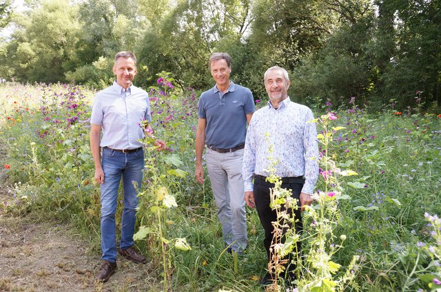 Kapfenberg blüht auf: Heinz Sarkleti, Bgm. Fritz Kratzer und Peter Vogl (Liste Vogl) präsentierten drei neue Wildblumenwiesen.