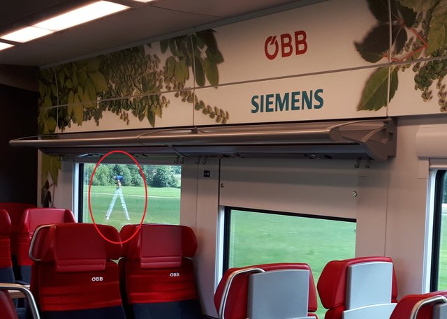 Auf einer Leiter verschaffte sich jemand bessere Sicht.