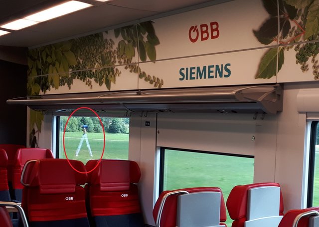 Auf einer Leiter  verschaffte sich jemand bessere Sicht. | Foto: ÖBB Mosser