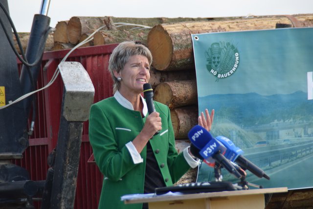 Martina Diesner-Wais