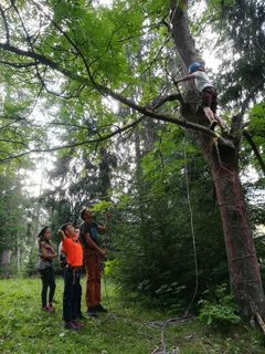 Singles bekanntschaften kostenlos gratwein paldau. Singles treffen aus voldpp. Aflenz frauen kennenlernen. Gay dating in saalbach-hinterglemm. Single kino Bekanntschaften kostenlos gratwein Sextreffen in Oettingen in