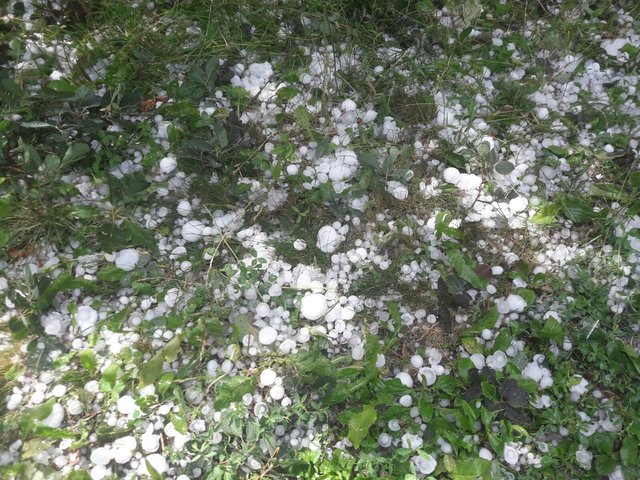 Die größten, in Österreich dokumentierten Hagelkörner, hatten einen Durchmesser von 12 cm und wurden in St. Oswald gefunden. | Foto: Karl B.