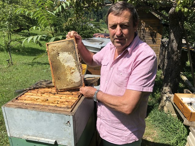 Eine böse Überrraschung haben Bienenzuchtvereins-Obmann Alois Rauch und seine Mitglieder erlebt. Die Ausfälle beim Waldhonig sind beträchtlich.  | Foto: WOCHE