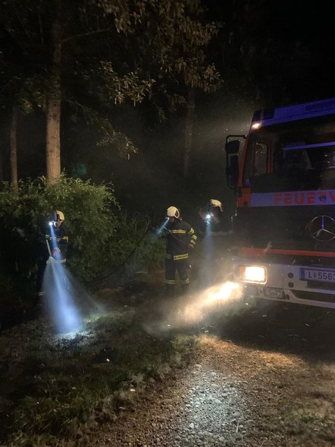 Die Freiwillige Feuerwehr Ebelsberg im Einsatz.