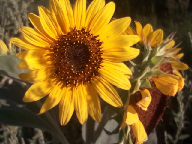 Foto: Gabriele Schandl