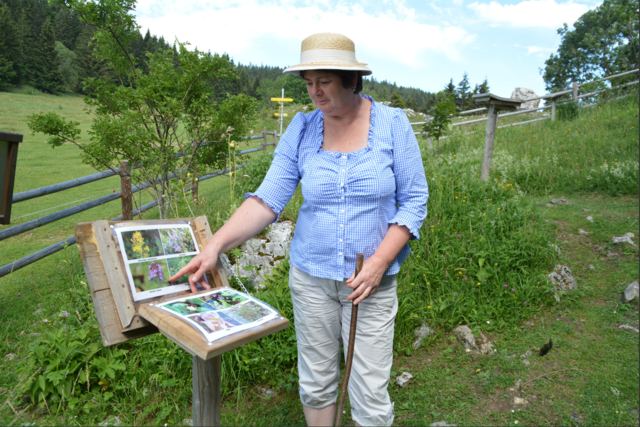 Bürgermeisterin Waltraud Stöckl auf Wanderschaft. | Foto: Roland Mayr