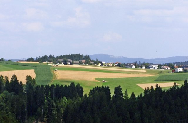 Aussicht auf das hügelige Mühlviertel